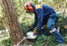 Stowtree-cutting-services-21.jpg; ?>